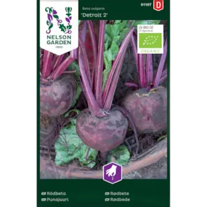 Frø rødbete Detroit 2 økologisk