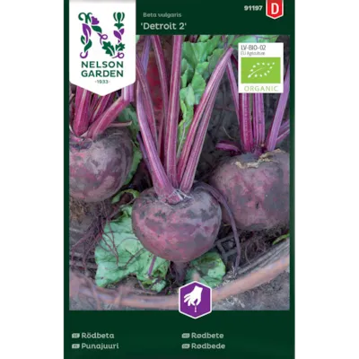 Frø rødbete Detroit 2 økologisk