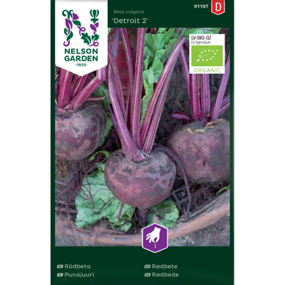 Frø rødbete Detroit 2 økologisk