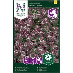 Frø smådodre Violet Queen