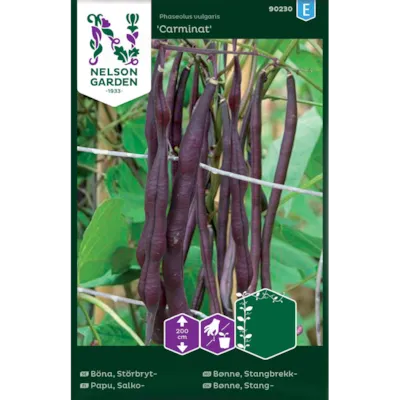 Frø stangbrekkbønne Carminat