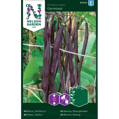 Frø stangbrekkbønne Carminat