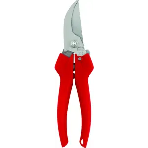 Beskjæringssaks 300 sekatør