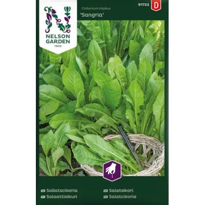 Frø salatsikori Sangria