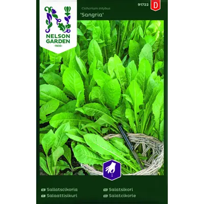 Frø salatsikori Sangria