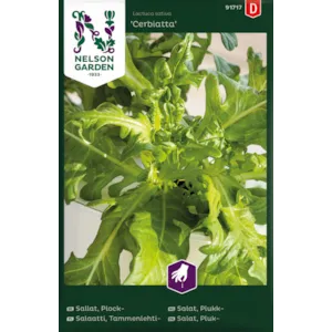 Frø bladsalat Cerbiatta