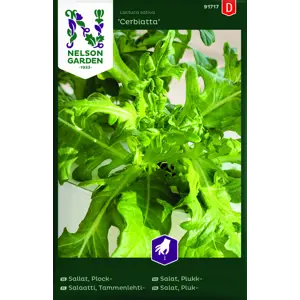 Frø bladsalat Cerbiatta