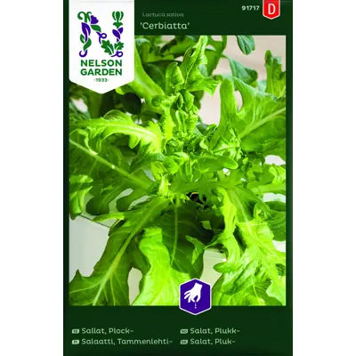 Frø bladsalat Cerbiatta