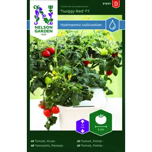 Frø pottetomat Twiggy Red Harvy