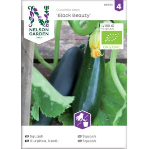 Frø squash Black Beauty økologisk