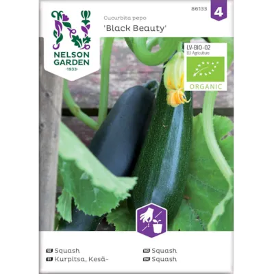 Frø squash Black Beauty økologisk
