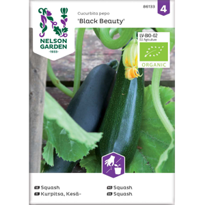 Frø squash Black Beauty økologisk