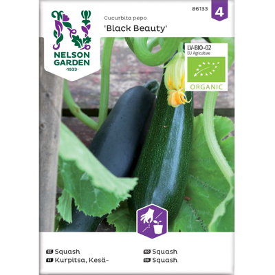 Frø squash Black Beauty økologisk