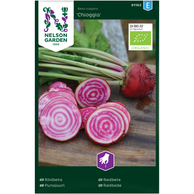 Frø rødbete Chioggia økologisk