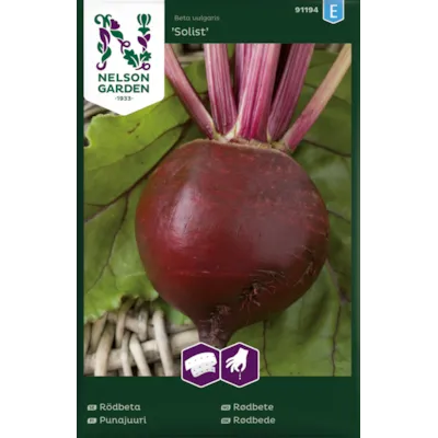 Frø rødbete Solist