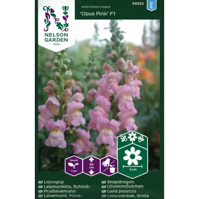 Frø prydløvemunn Opus Pink