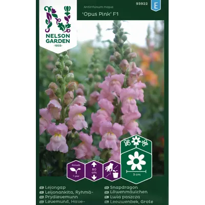 Frø prydløvemunn Opus Pink