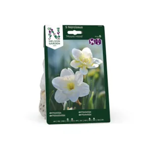 Høstløk påskelilje Mount Hood