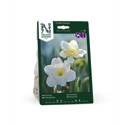 Høstløk påskelilje Mount Hood