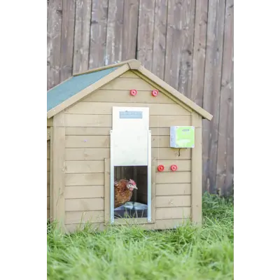 Automatisk hønsedør, bilde 12