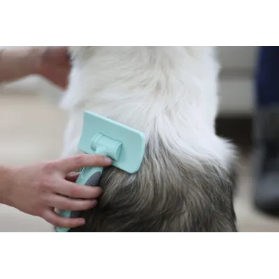 Massasjebørste, bilde 3