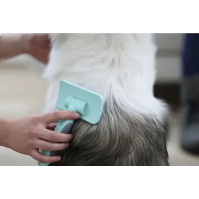 Massasjebørste, bilde 3