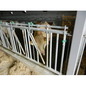 Fanggitter for kjøttfe