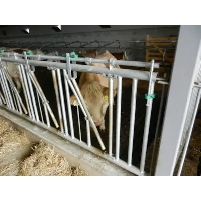 Fanggitter for kjøttfe