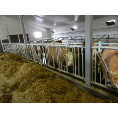 Fanggitter for kjøttfe, bilde 2