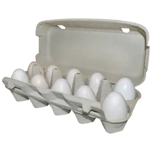 Eggkartong for 10 egg