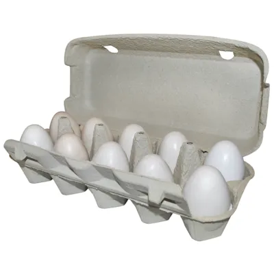 Eggkartong for 10 egg