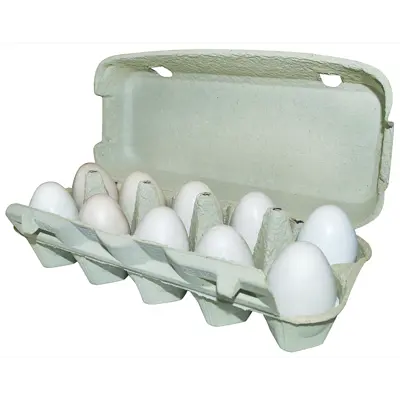 Eggkartong for 10 egg