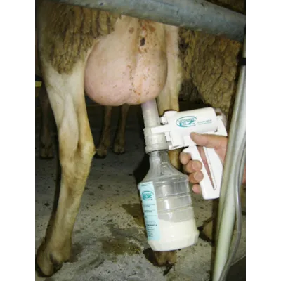 Melkepumpe for sau, bilde 6