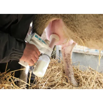 Melkepumpe for sau, bilde 7