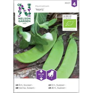 Frø sukkerert Norli økologisk