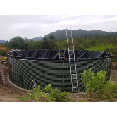 Hendic gjødselkum, bilde 3