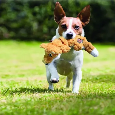 Hundeleke Scrunch Knots rev, bilde 3