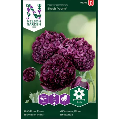 Frø pionvalmue Black Peony