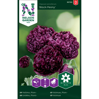Frø pionvalmue Black Peony