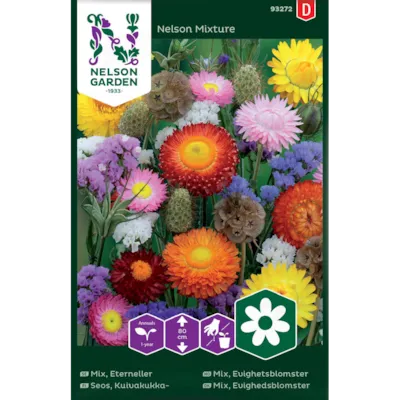 Frø evighetsblomster Nelson Mixture
