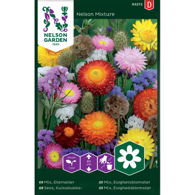 Frø evighetsblomster Nelson Mixture