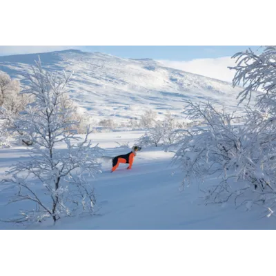 Heldress Protector hannhund svart/orange, bilde 4