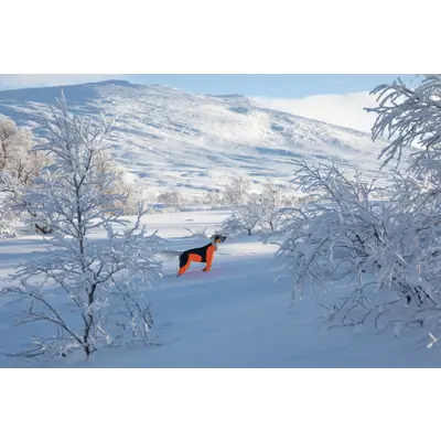 Heldress Protector hannhund svart/orange, bilde 4