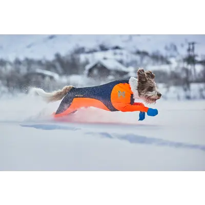 Heldress Protector hannhund svart/orange, bilde 6