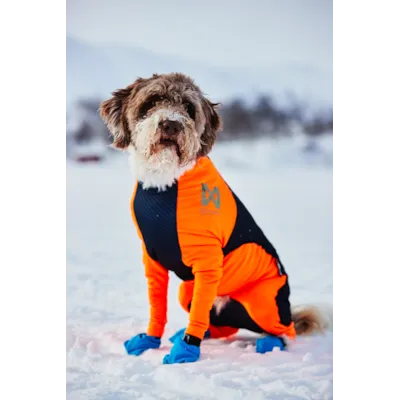 Heldress Protector hannhund svart/orange, bilde 3