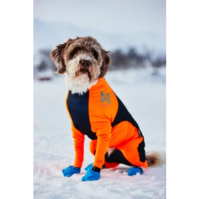 Heldress Protector hannhund svart/orange, bilde 3