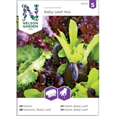 Frø salat Baby Leaf mix såbånd