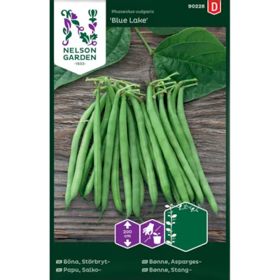Frø aspargesbønne Blue Lake