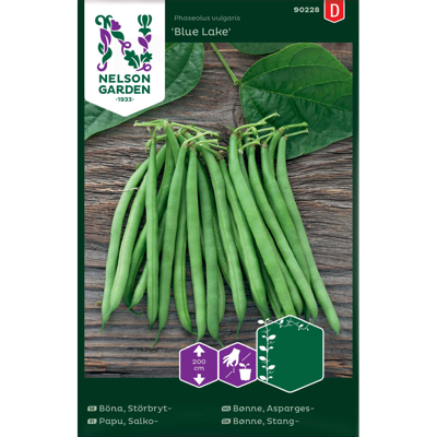 Frø aspargesbønne Blue Lake