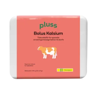 Bolus Kalsium 20x67 g